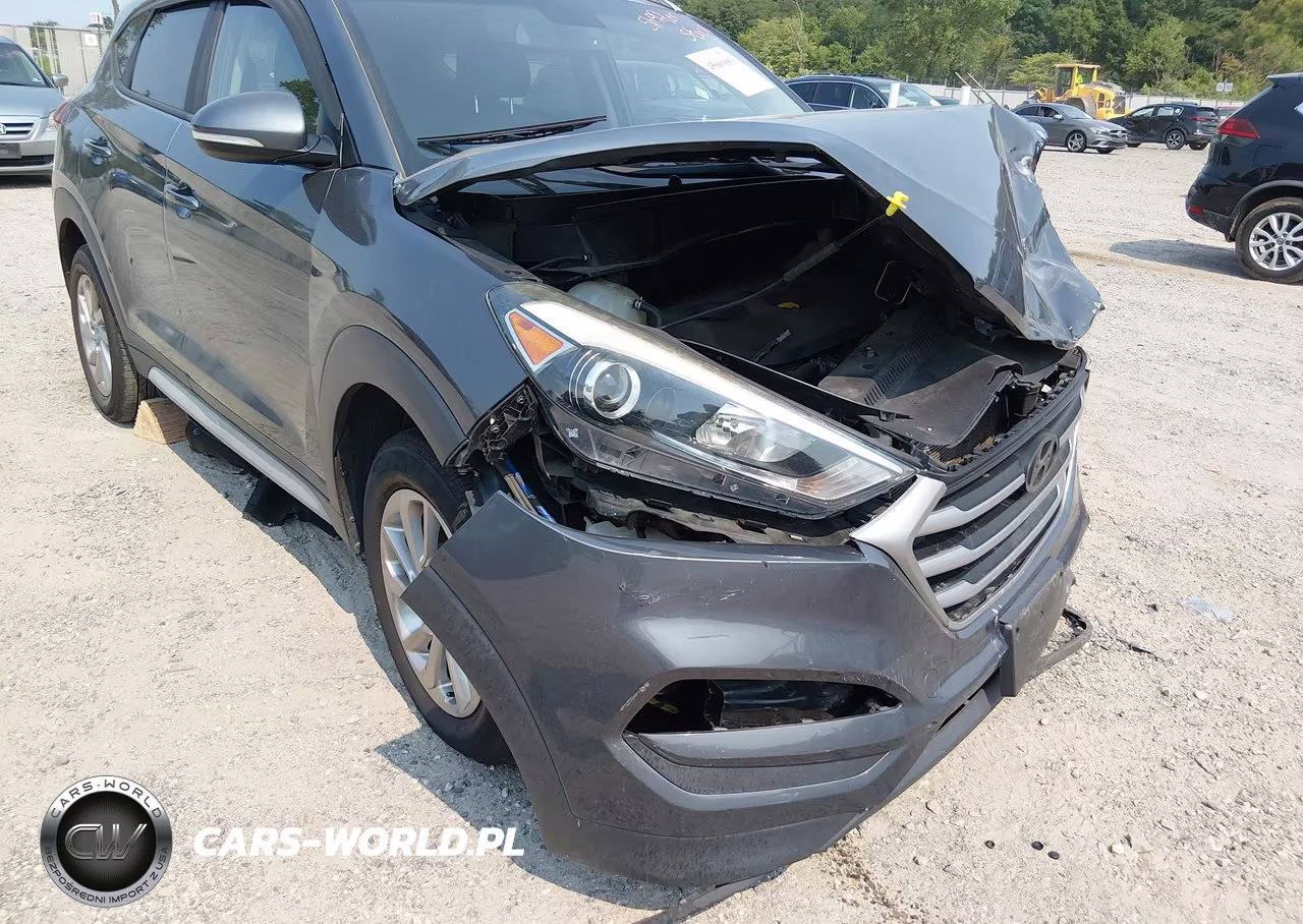 2017 Hyundai Tucson Se Plus VIN:KM8J33A40HU445885 - 19