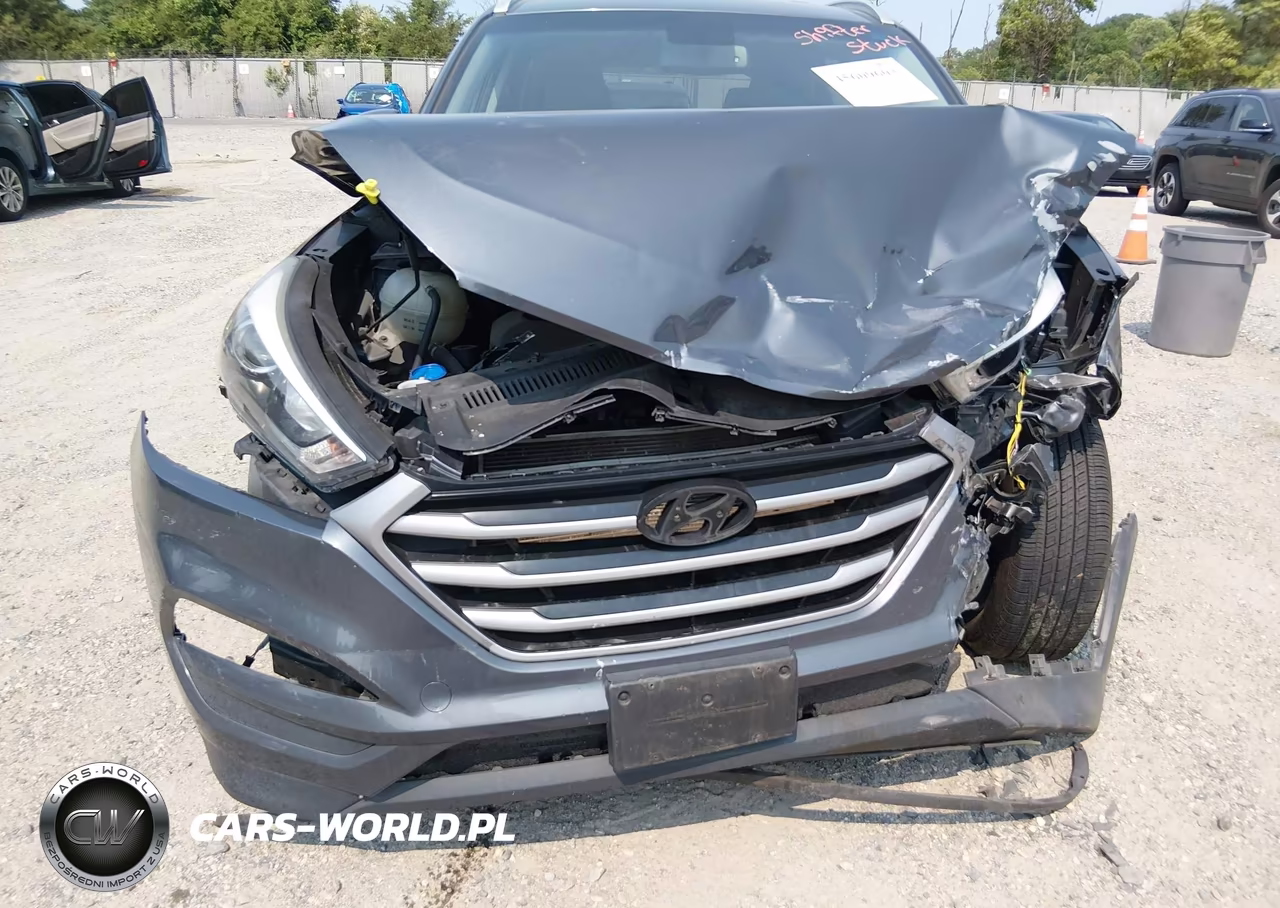 2017 Hyundai Tucson Se Plus VIN:KM8J33A40HU445885 - 6