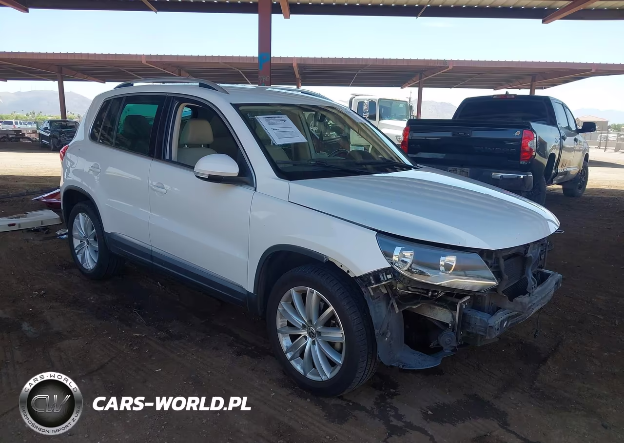 2013 Volkswagen Tiguan Se