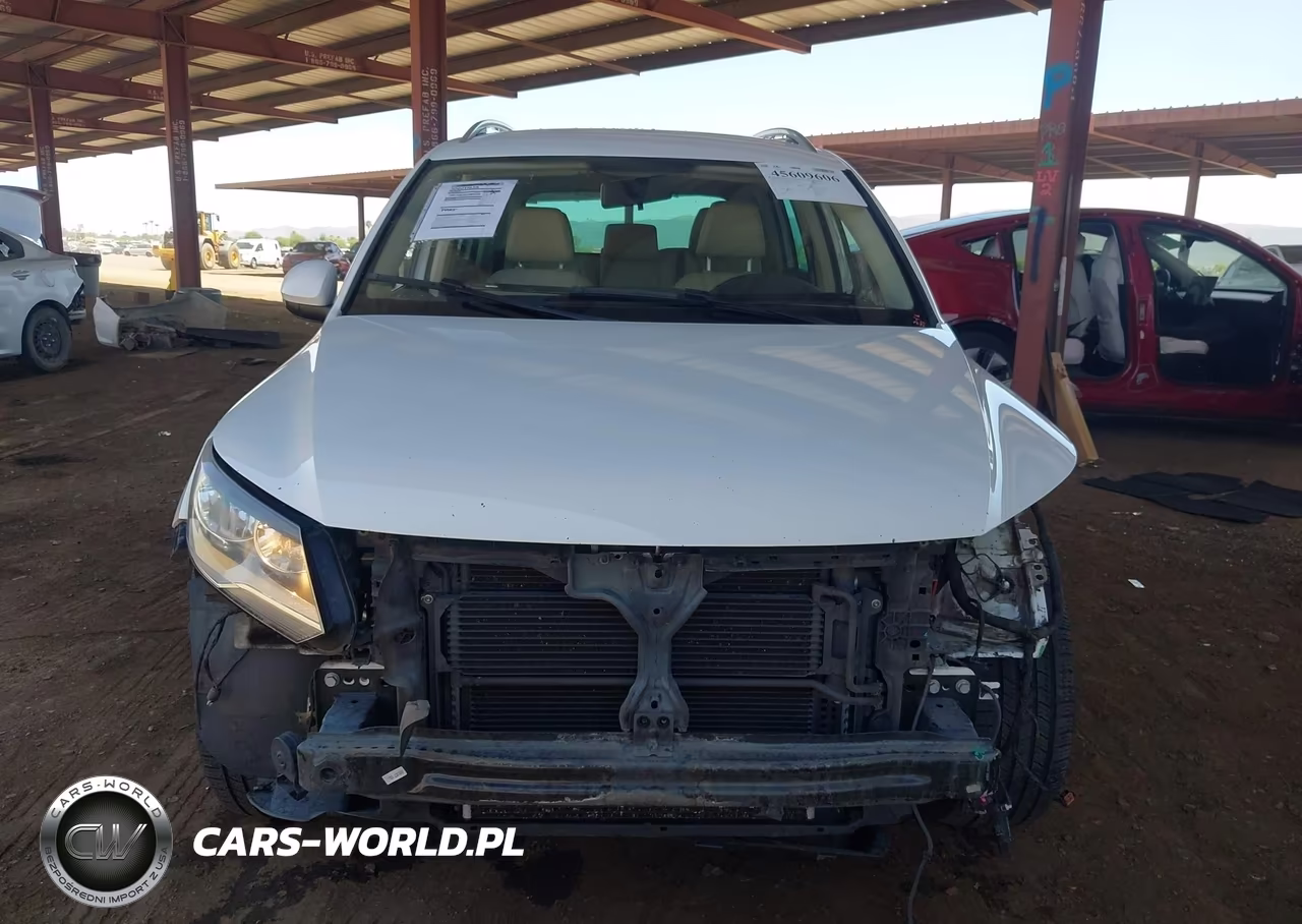 2013 Volkswagen Tiguan Se VIN:WVGBV7AX9DW512210 - 13