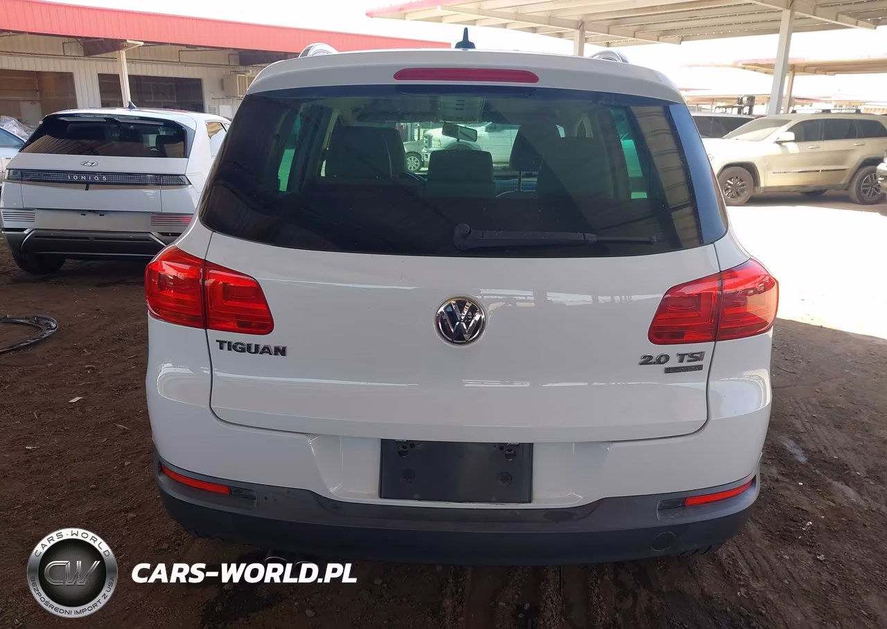 2013 Volkswagen Tiguan Se VIN:WVGBV7AX9DW512210 - 17