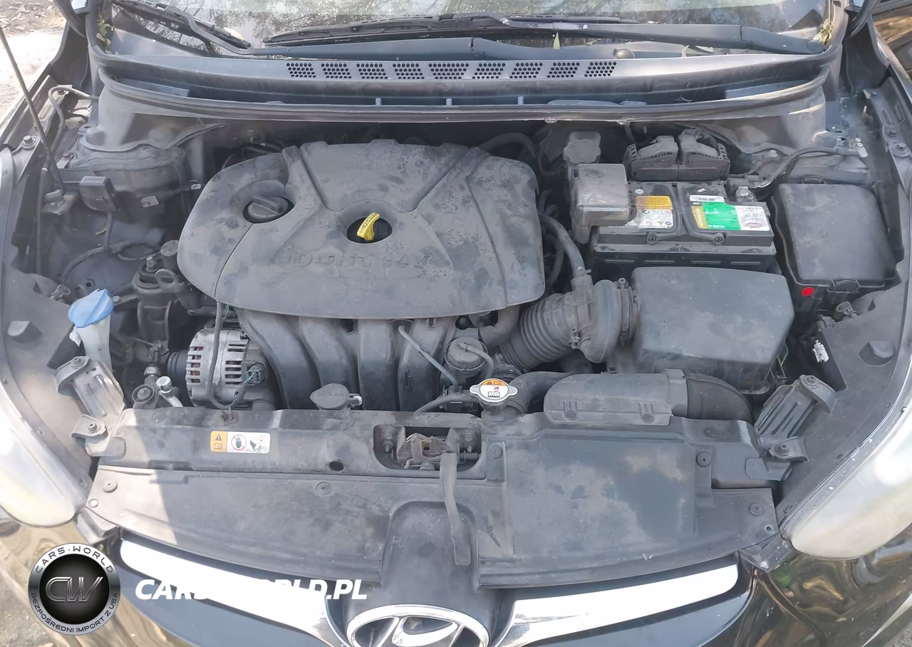 2014 Hyundai Elantra Se VIN:5NPDH4AE8EH531324 - 10