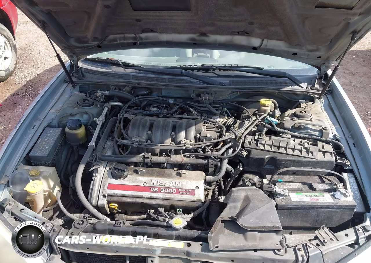 2001 Nissan Maxima Gxe VIN:JN1CA31D11T603488 - 10
