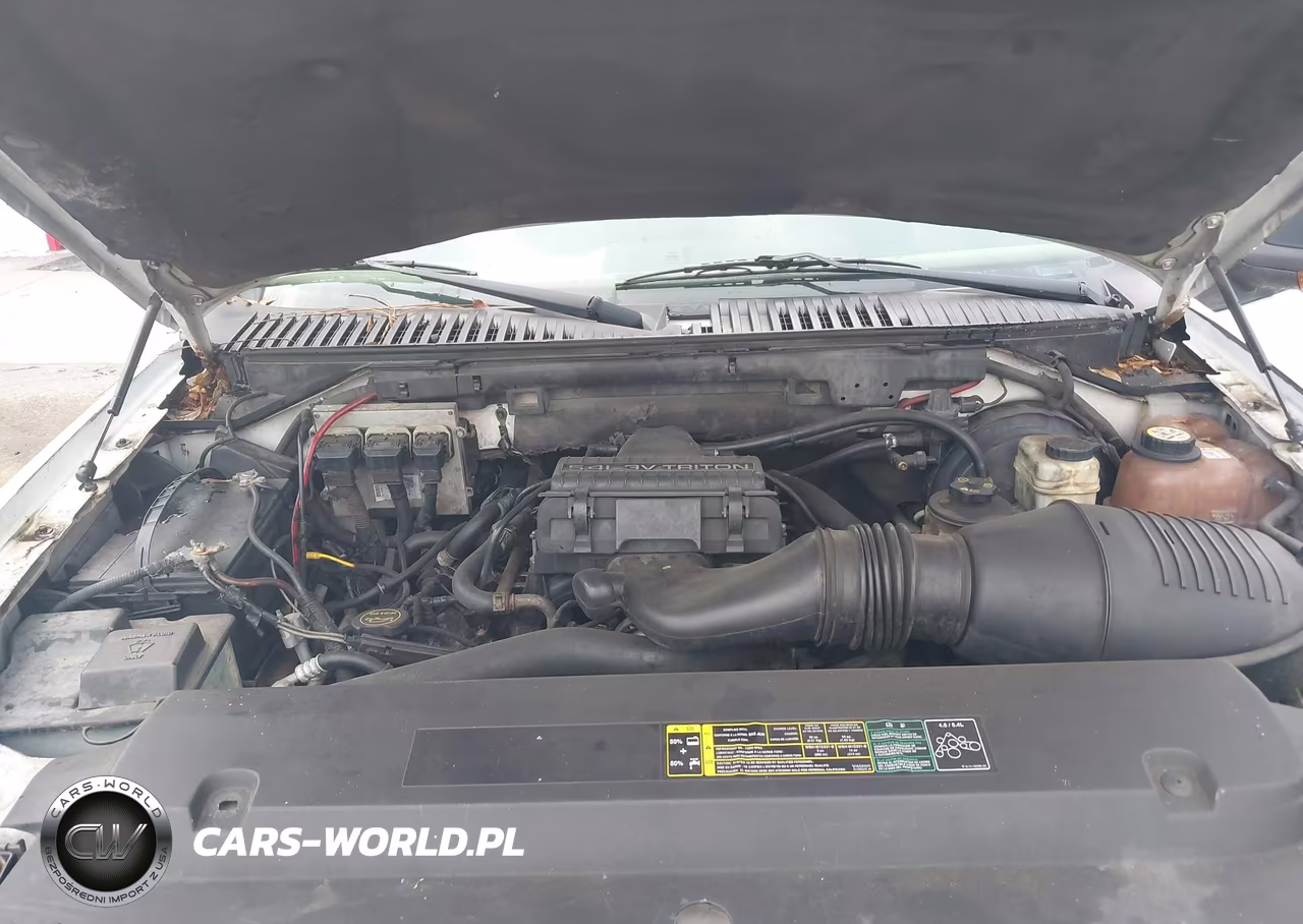 2005 Ford Expedition Eddie Bauer-King Ranch VIN:1FMPU17505LA31471 - 10