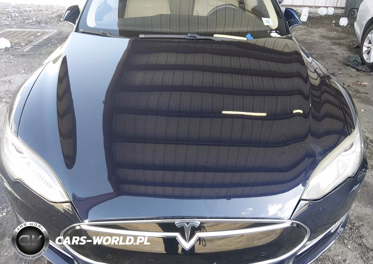 2014 Tesla Model S P85 VIN:5YJSA1H13EFP50400 - 10