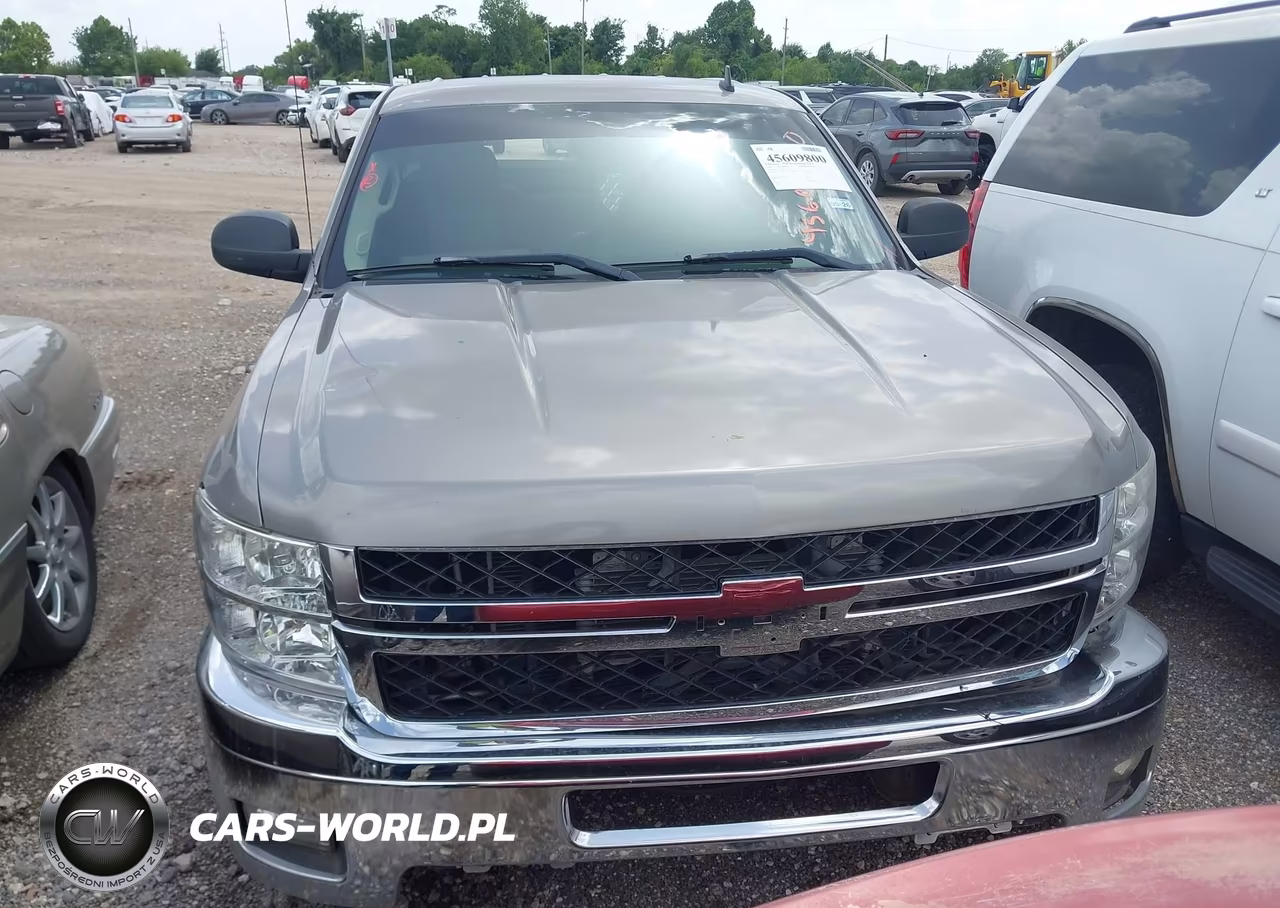 2009 Chevrolet Silverado 1500 Work Truck VIN:3GCEC13C69G213505 - 12