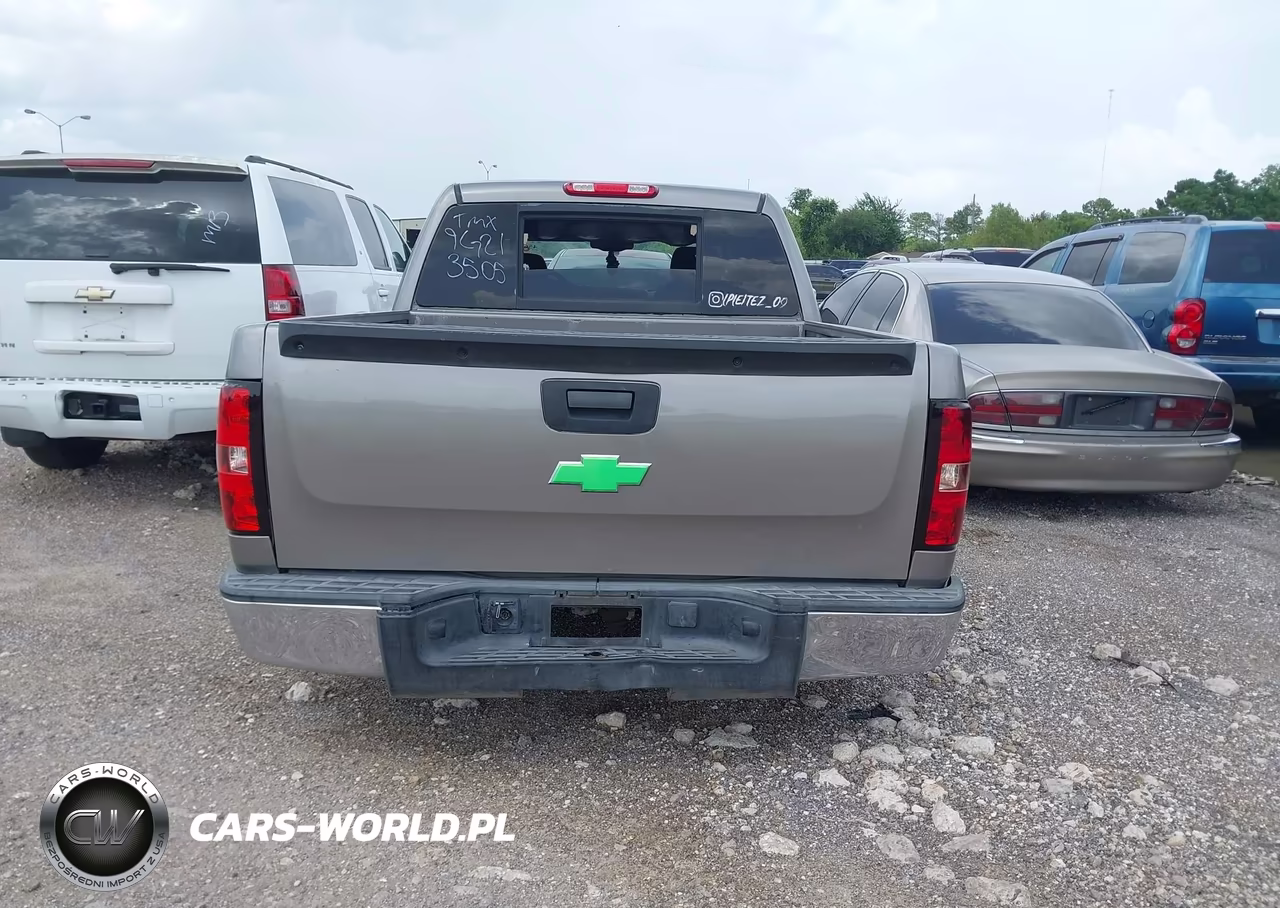 2009 Chevrolet Silverado 1500 Work Truck VIN:3GCEC13C69G213505 - 16