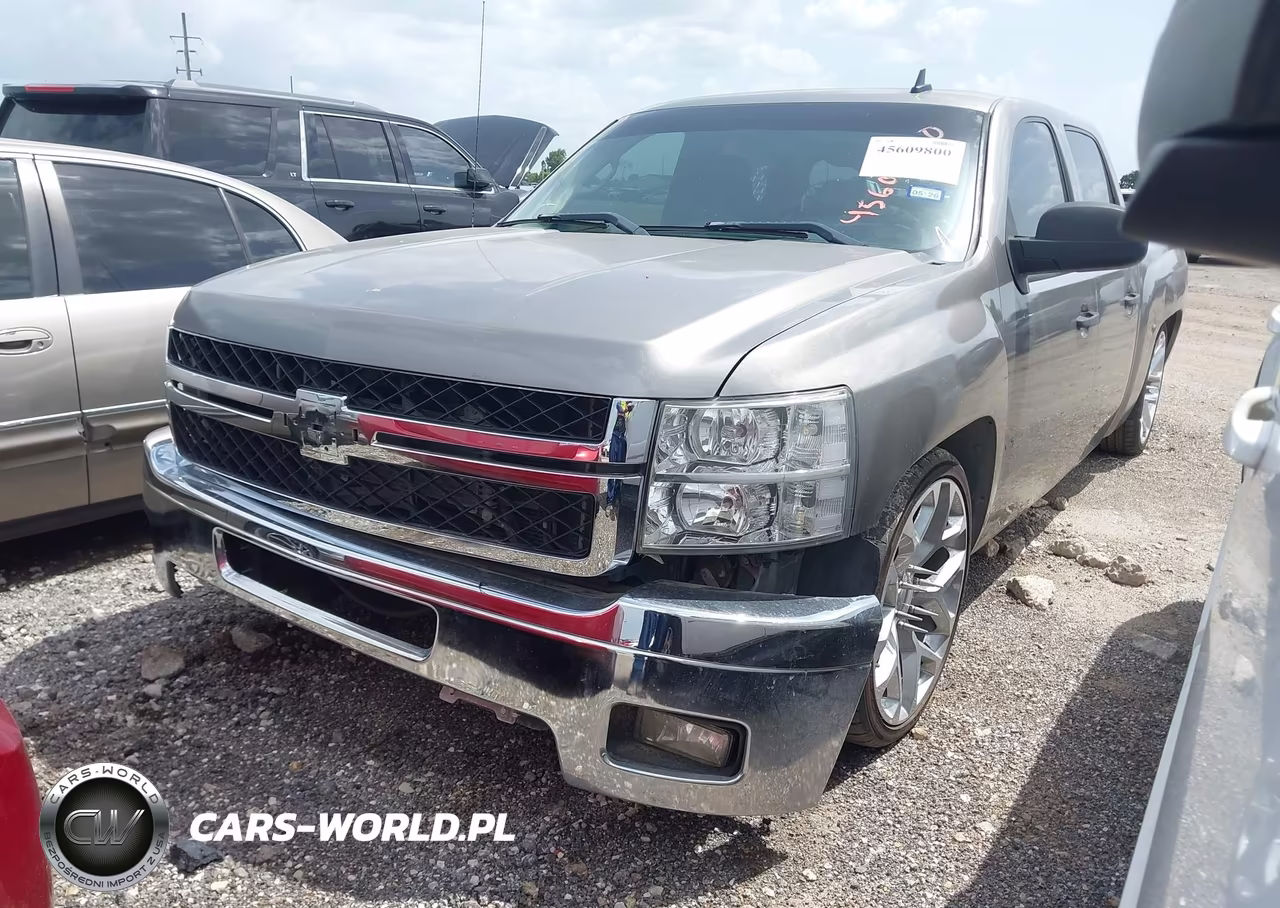 2009 Chevrolet Silverado 1500 Work Truck VIN:3GCEC13C69G213505 - 2