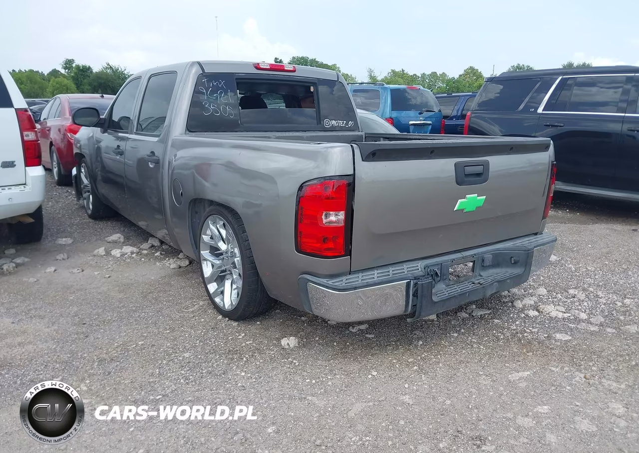 2009 Chevrolet Silverado 1500 Work Truck VIN:3GCEC13C69G213505 - 3