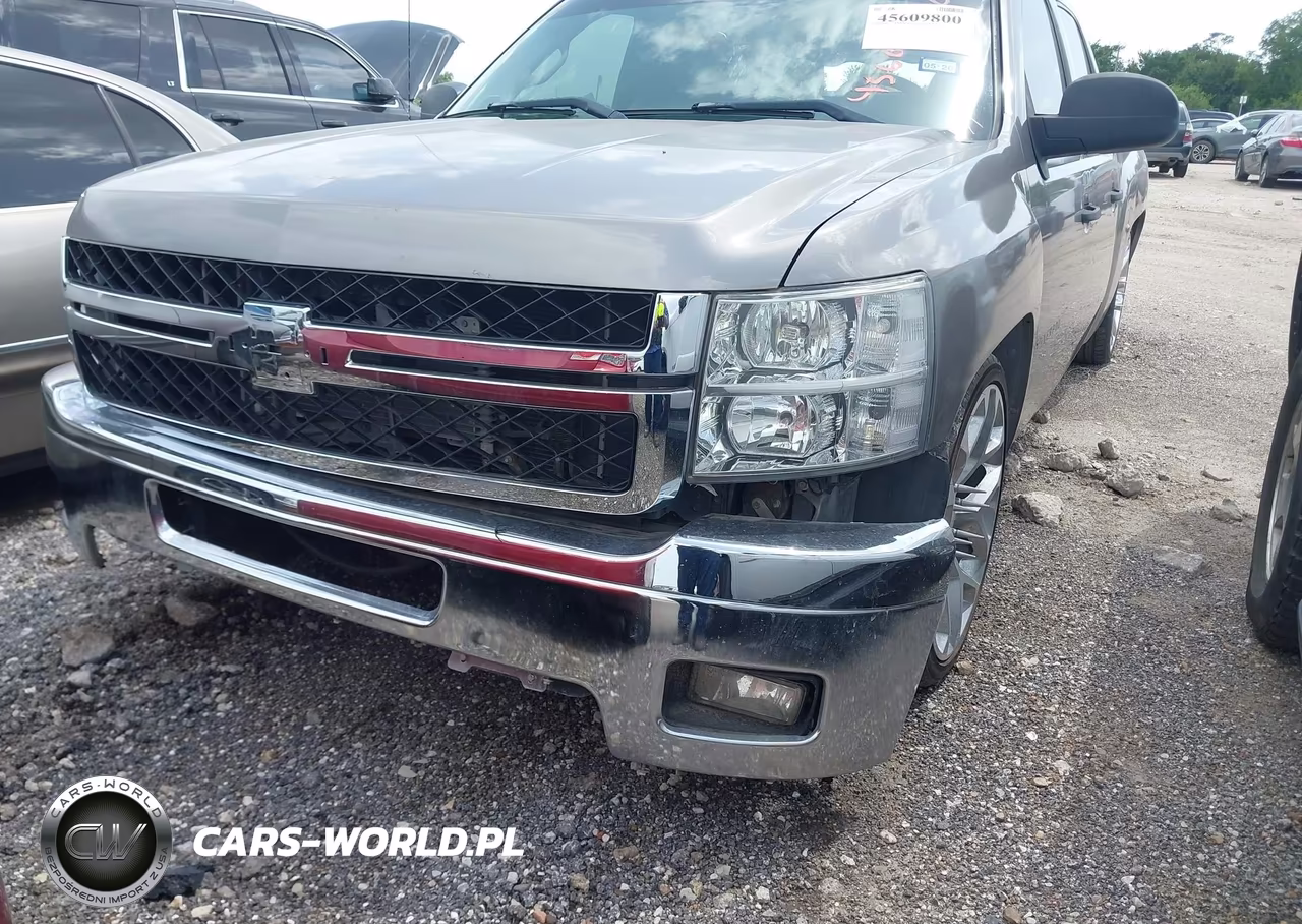 2009 Chevrolet Silverado 1500 Work Truck VIN:3GCEC13C69G213505 - 6