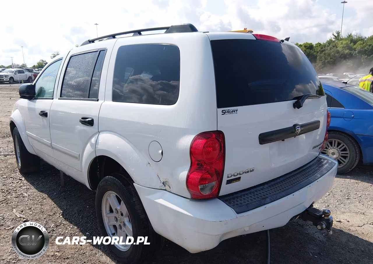 2009 Dodge Durango Slt VIN:1D8HB48PX9F701145 - 3