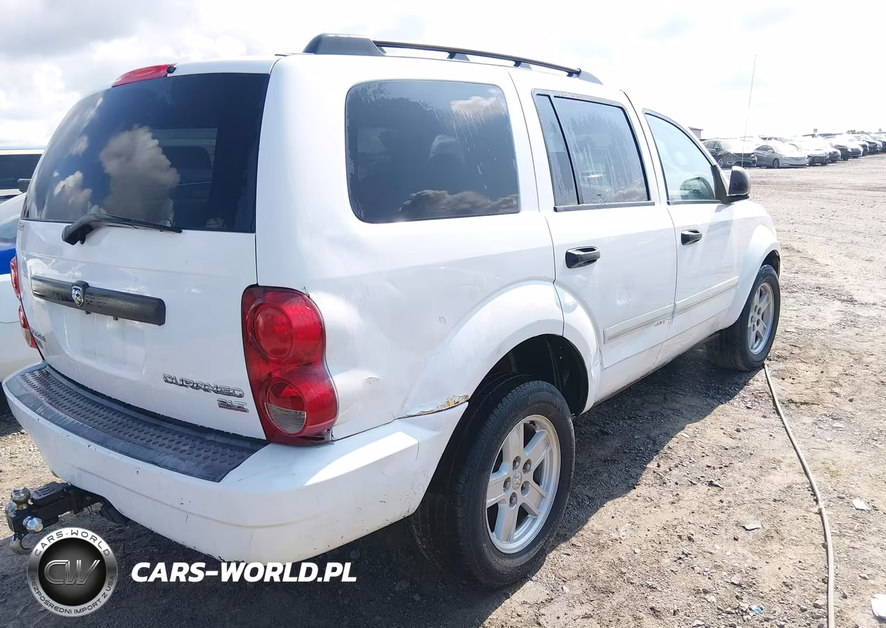 2009 Dodge Durango Slt VIN:1D8HB48PX9F701145 - 4