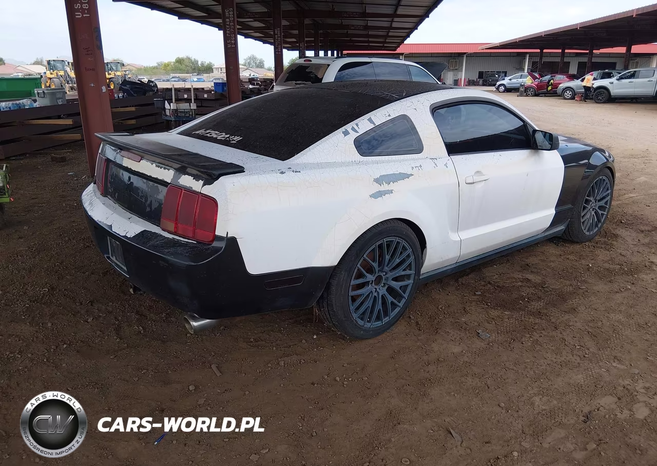 2008 Ford Mustang V6 Deluxe-V6 Premium VIN:1ZVHT80NX85168275 - 4