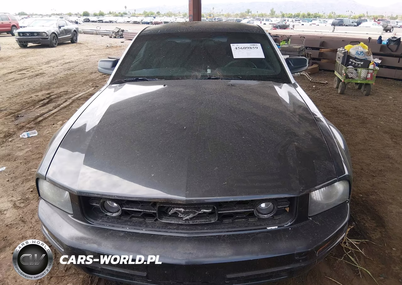 2008 Ford Mustang V6 Deluxe-V6 Premium VIN:1ZVHT80NX85168275 - 6
