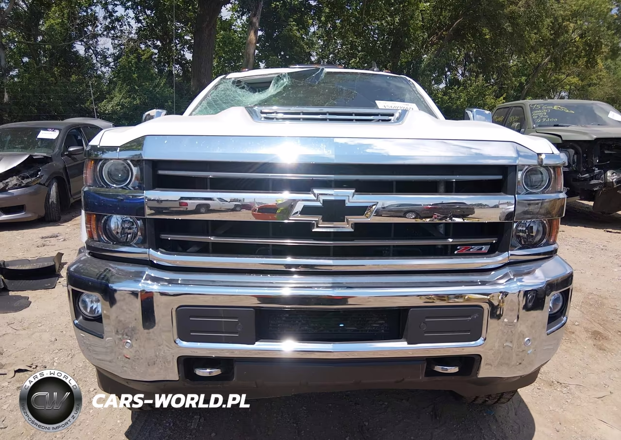 2019 Chevrolet Silverado 2500Hd Ltz VIN:1GC1KTEY3KF200918 - 12