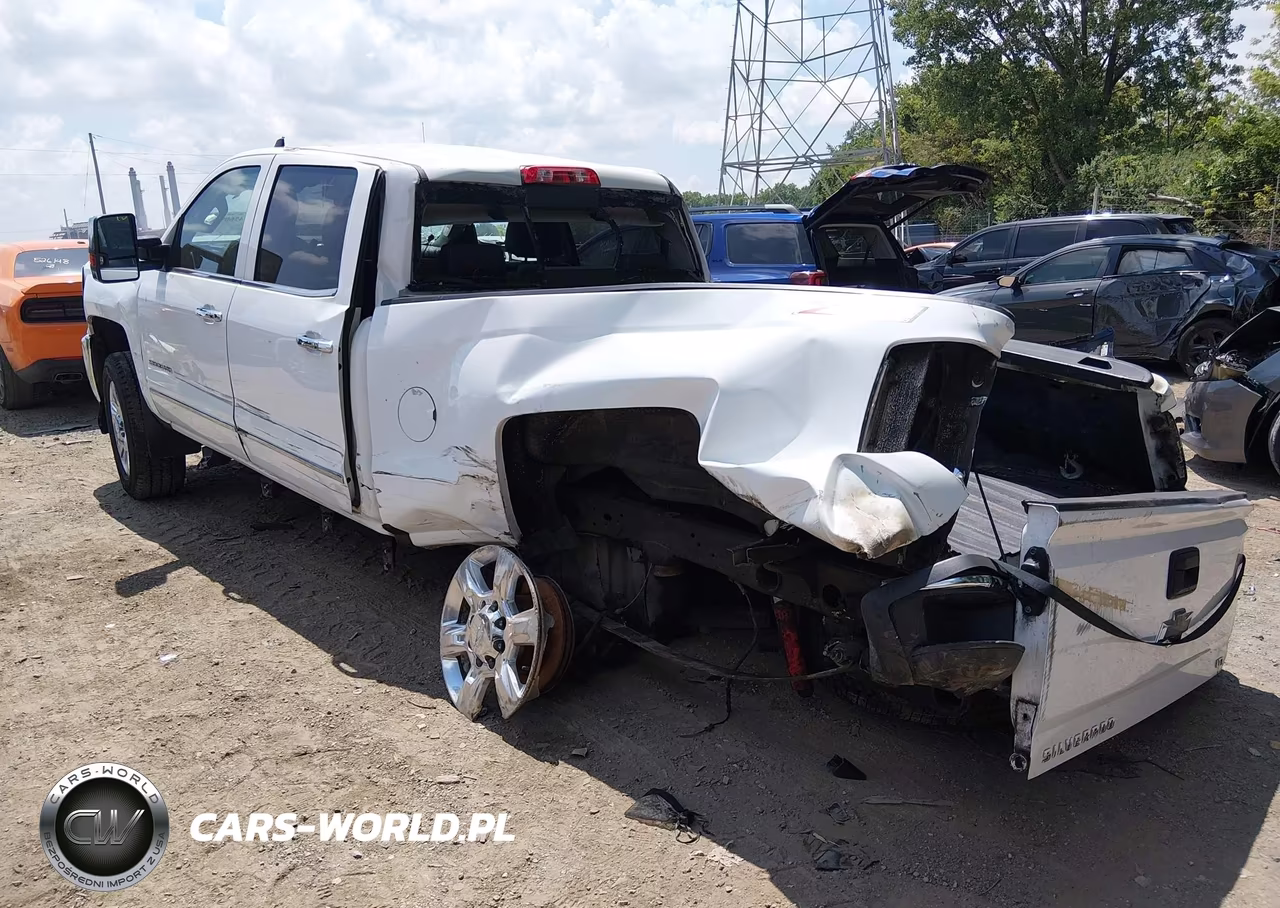 2019 Chevrolet Silverado 2500Hd Ltz VIN:1GC1KTEY3KF200918 - 3