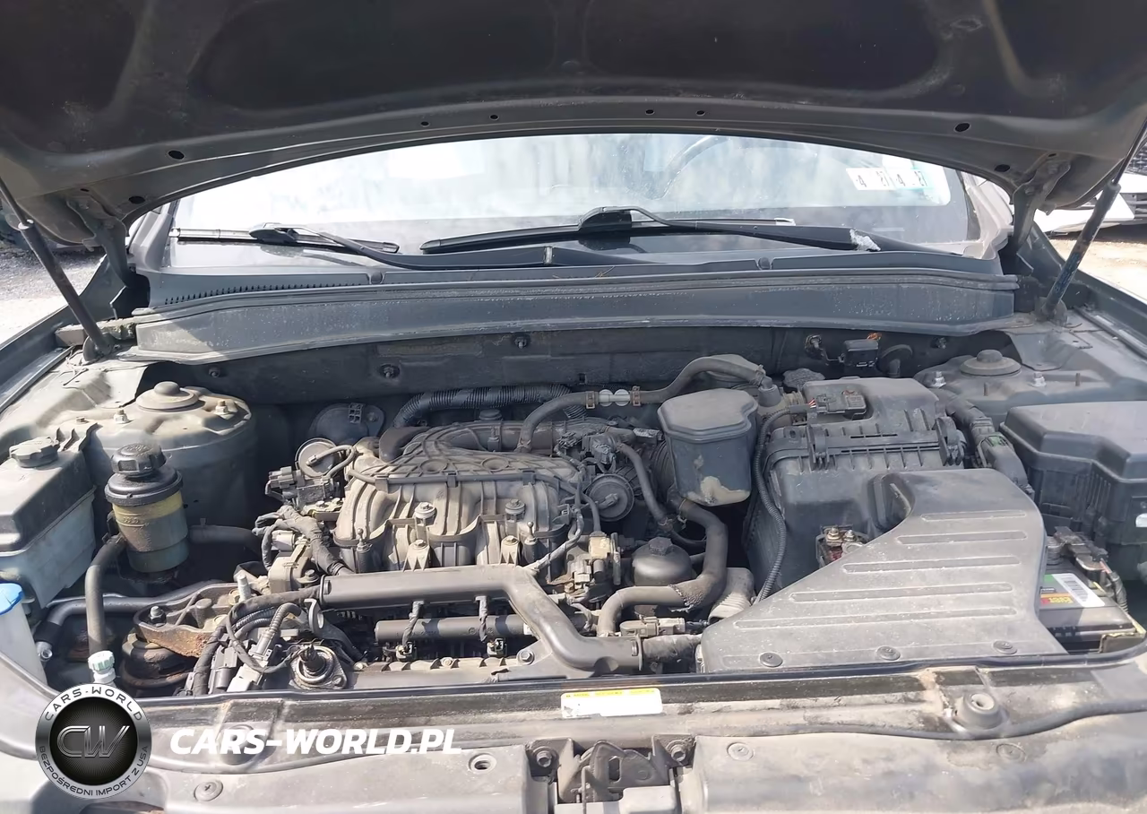 2010 Hyundai Santa Fe Se VIN:5NMSH4AG4AH346316 - 10
