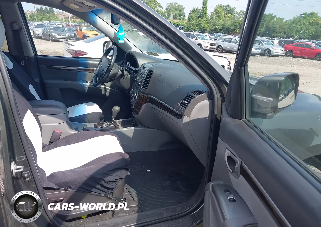2010 Hyundai Santa Fe Se VIN:5NMSH4AG4AH346316 - 5