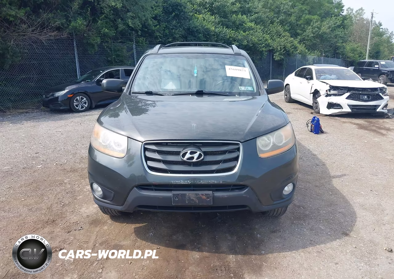 2010 Hyundai Santa Fe Se VIN:5NMSH4AG4AH346316 - 6