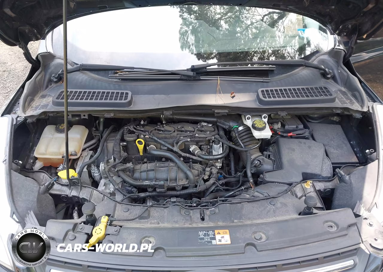 2015 Ford Escape Se VIN:1FMCU9GX7FUC10116 - 10