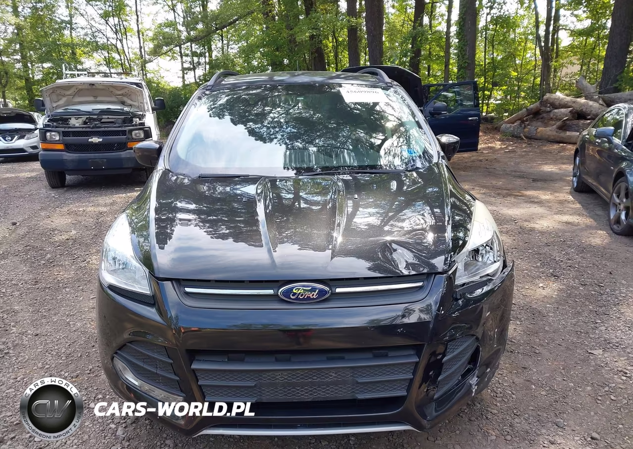 2015 Ford Escape Se VIN:1FMCU9GX7FUC10116 - 12