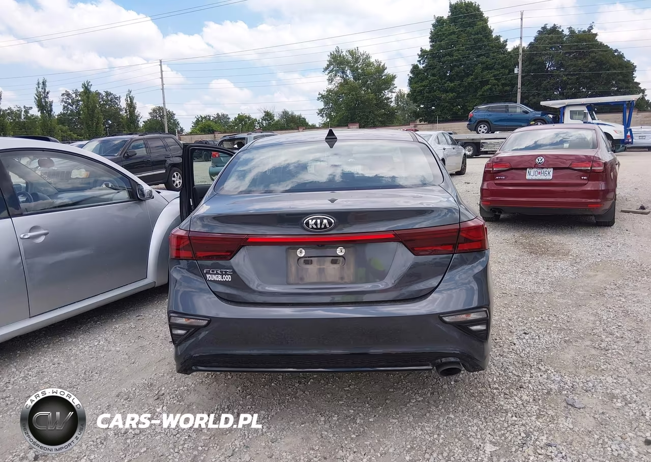 2020 Kia Forte Lxs VIN:3KPF24AD4LE262435 - 16