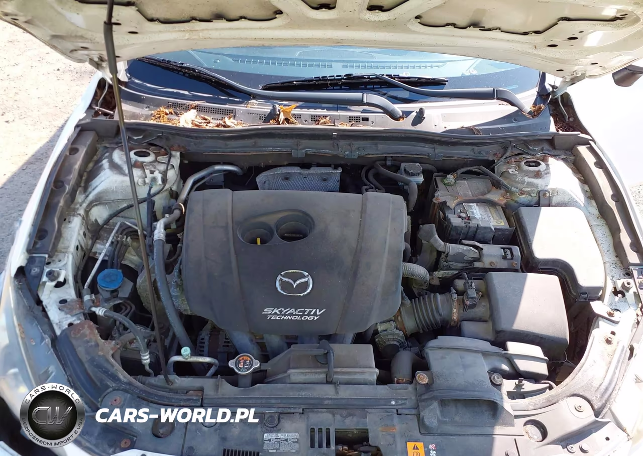 2014 Mazda Mazda3 I Sport VIN:JM1BM1K70E1205865 - 10