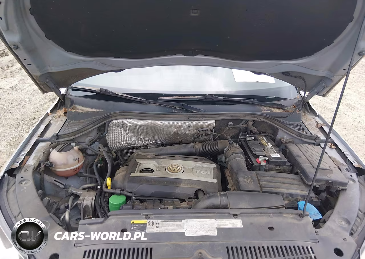 2015 Volkswagen Tiguan S VIN:WVGAV7AX4FW615923 - 10
