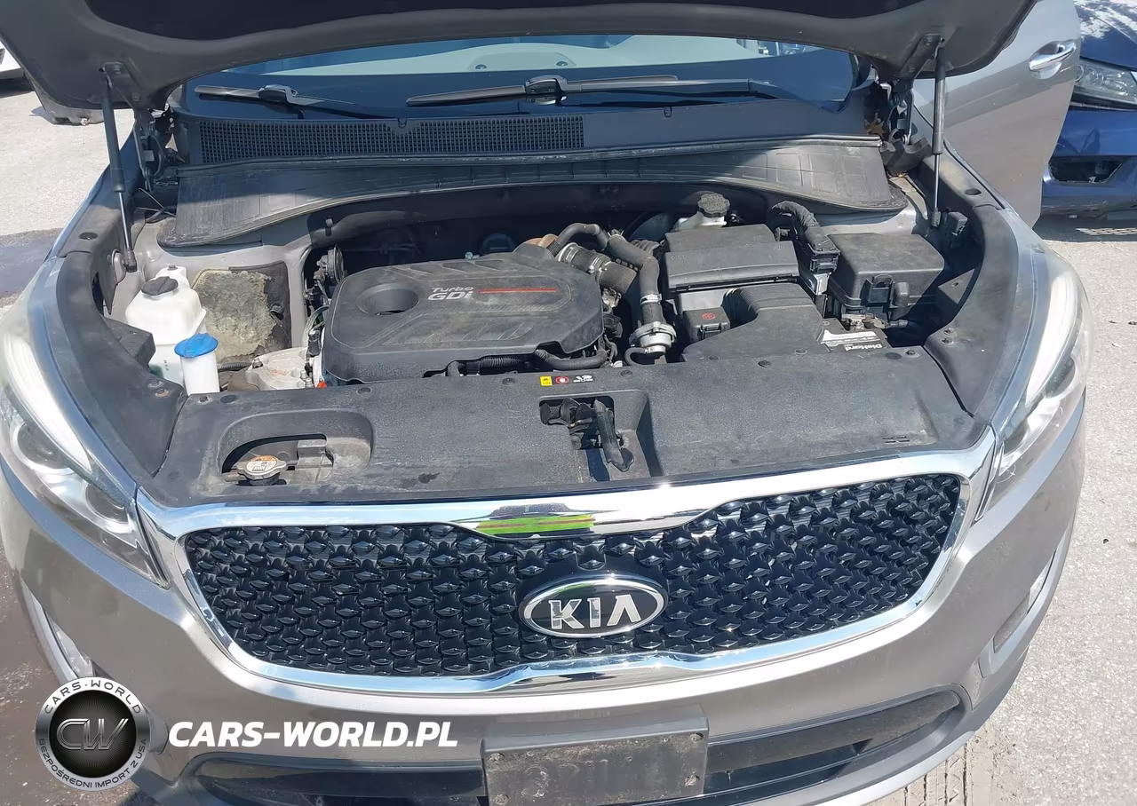 2016 Kia Sorento 2.0T Ex VIN:5XYPH4A14GG056971 - 10