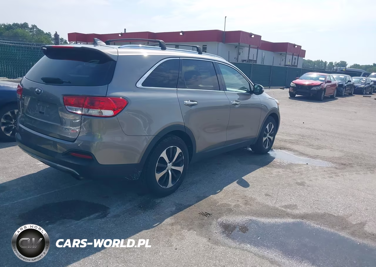 2016 Kia Sorento 2.0T Ex VIN:5XYPH4A14GG056971 - 4