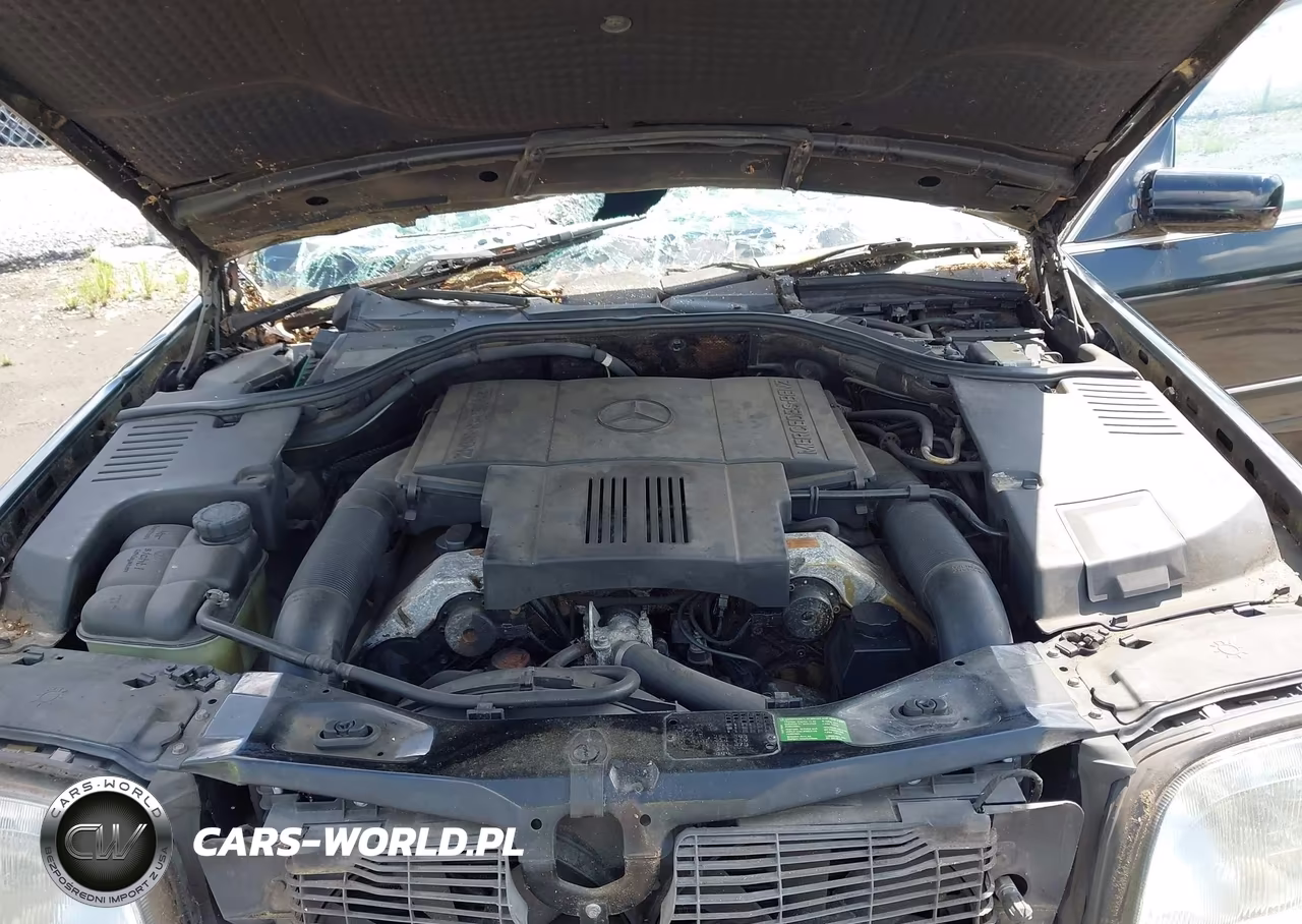 1996 Mercedes-Benz S 420 VIN:WDBGA43E7TA314672 - 10