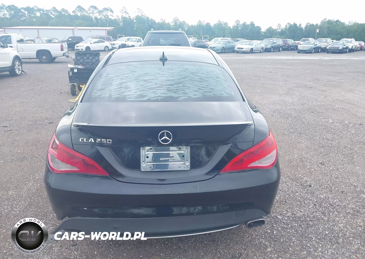 2016 Mercedes-Benz Cla 250 VIN:WDDSJ4EBXGN370642 - 16