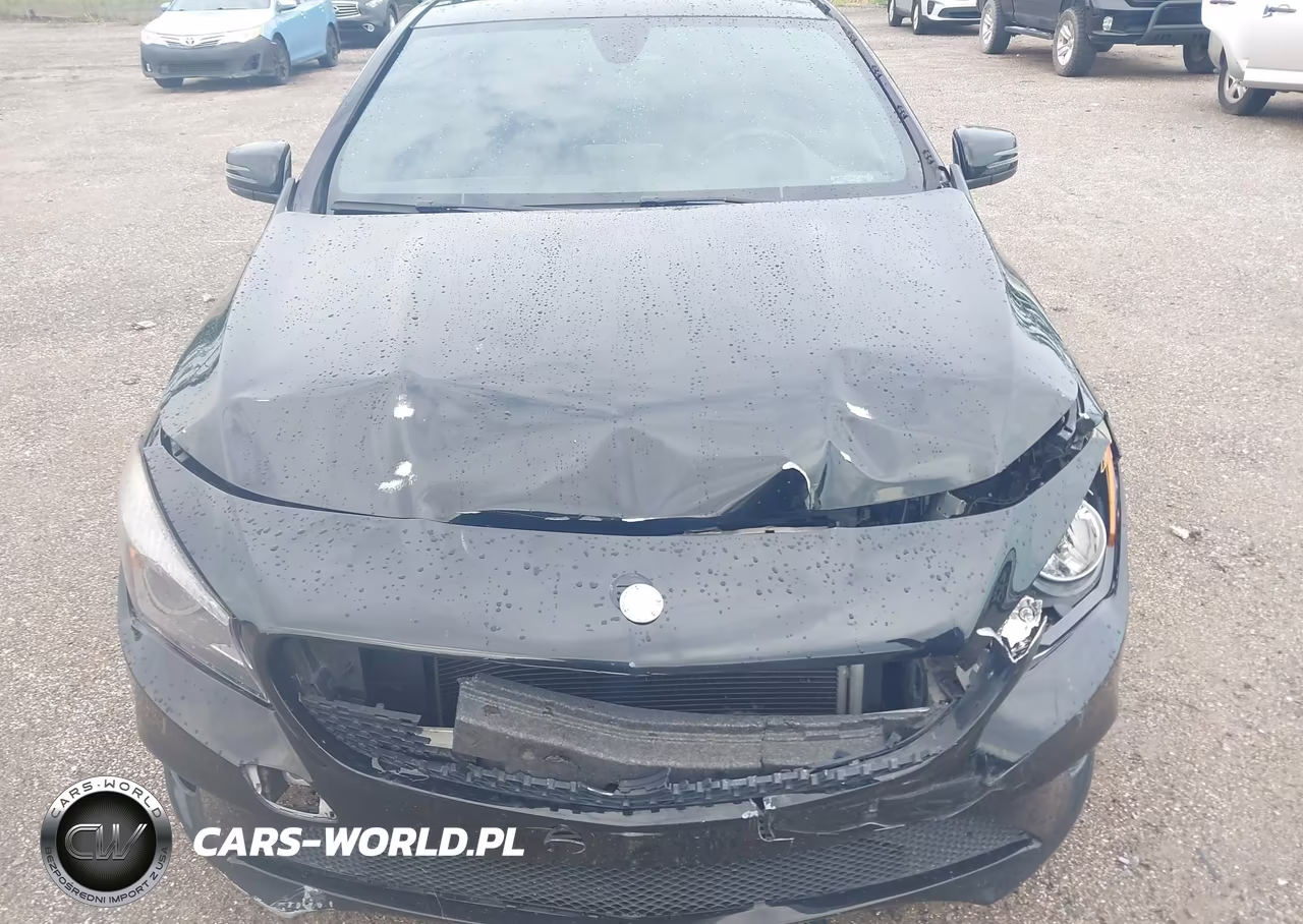 2016 Mercedes-Benz Cla 250 VIN:WDDSJ4EBXGN370642 - 6