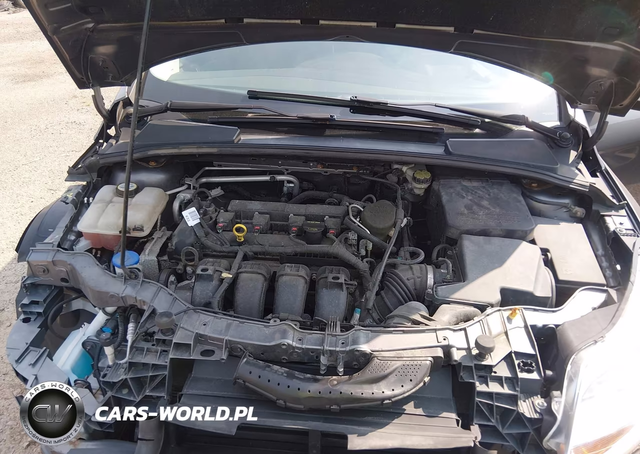 2013 Ford Focus Se VIN:1FADP3K20DL218978 - 10