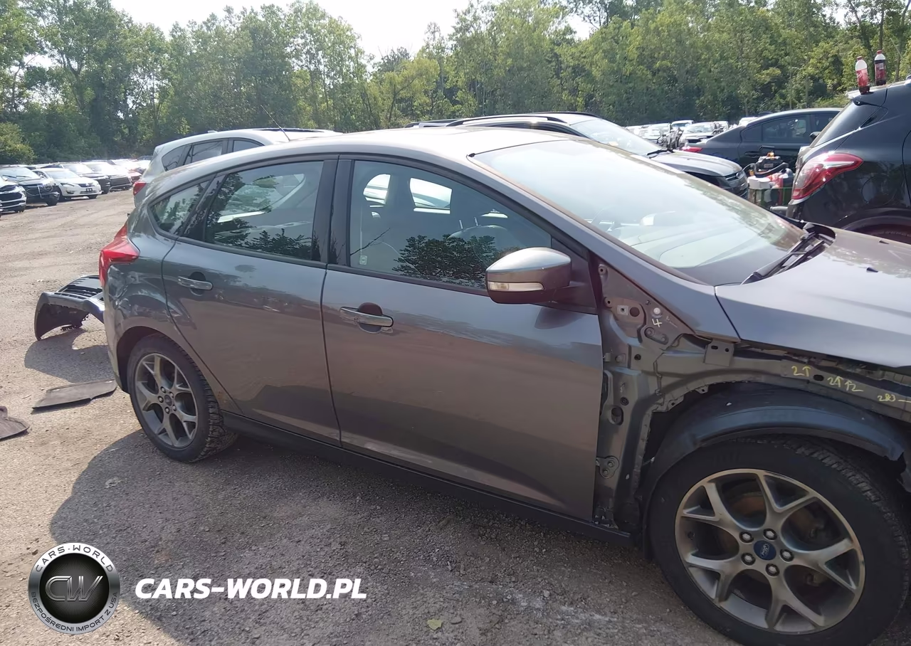 2013 Ford Focus Se VIN:1FADP3K20DL218978 - 14