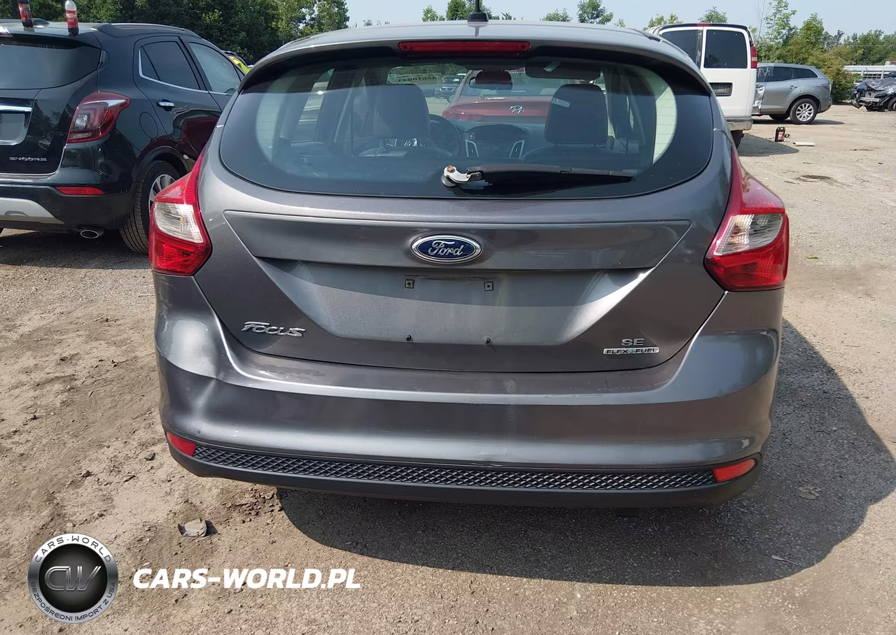 2013 Ford Focus Se VIN:1FADP3K20DL218978 - 17