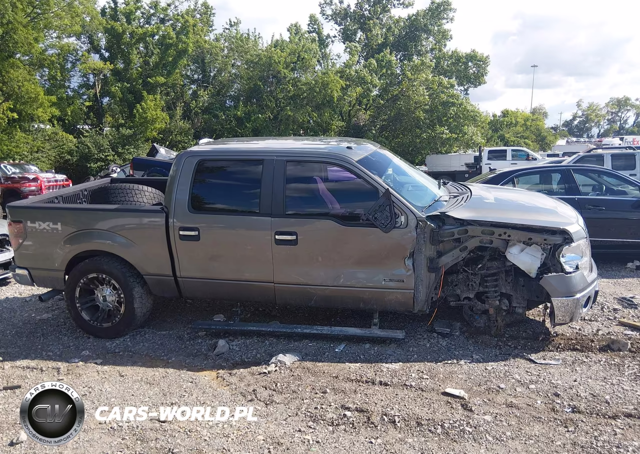 2011 Ford F-150 Xlt VIN:1FTFW1ET7BFC69811 - 13