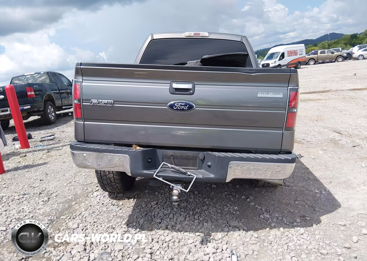 2011 Ford F-150 Xlt VIN:1FTFW1ET7BFC69811 - 16