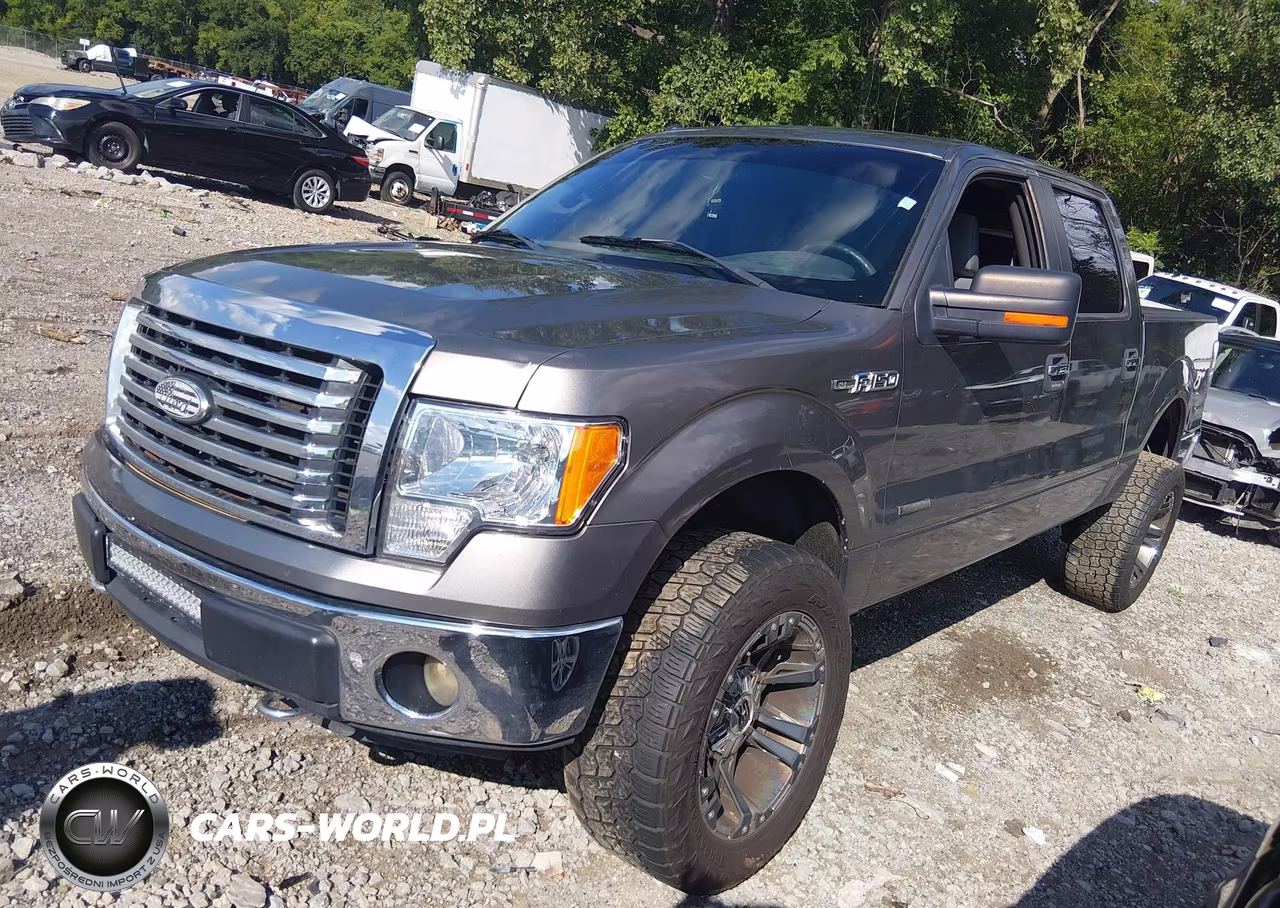 2011 Ford F-150 Xlt VIN:1FTFW1ET7BFC69811 - 2
