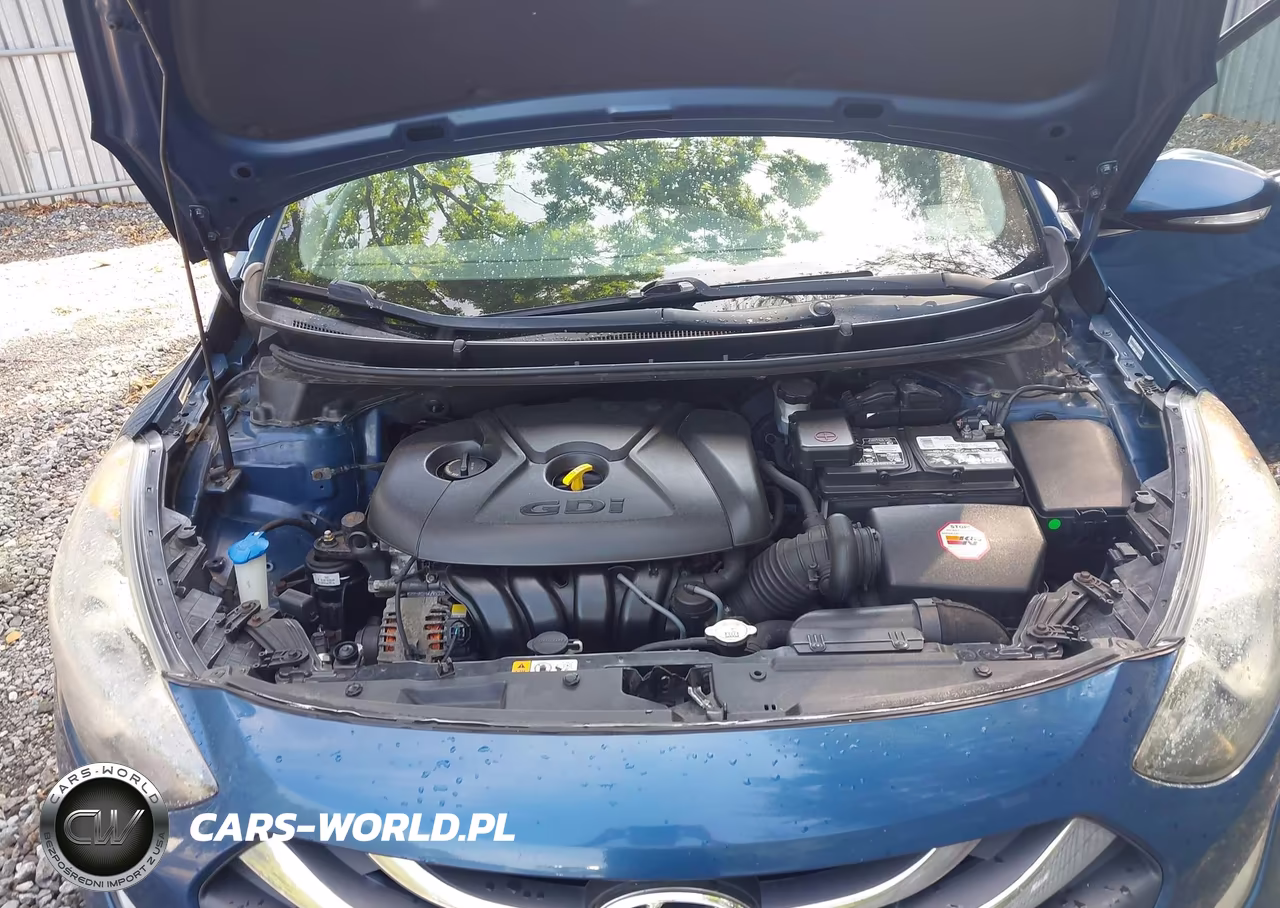 2014 Hyundai Elantra Gt VIN:KMHD35LHXEU195060 - 10