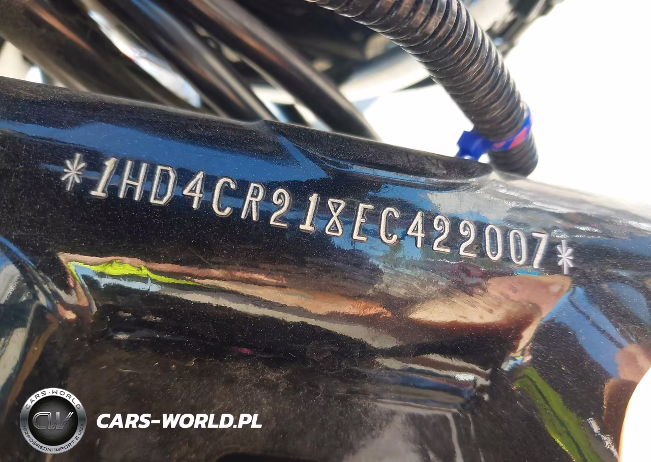 2014 Harley-Davidson Xl883 Superlow VIN:1HD4CR218EC422007 - 10