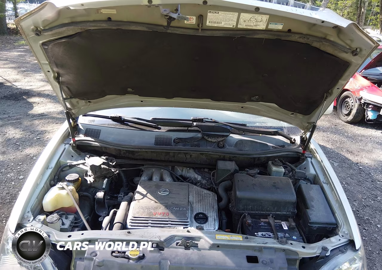 2000 Lexus Rx 300 VIN:JT6GF10U4Y0073803 - 10