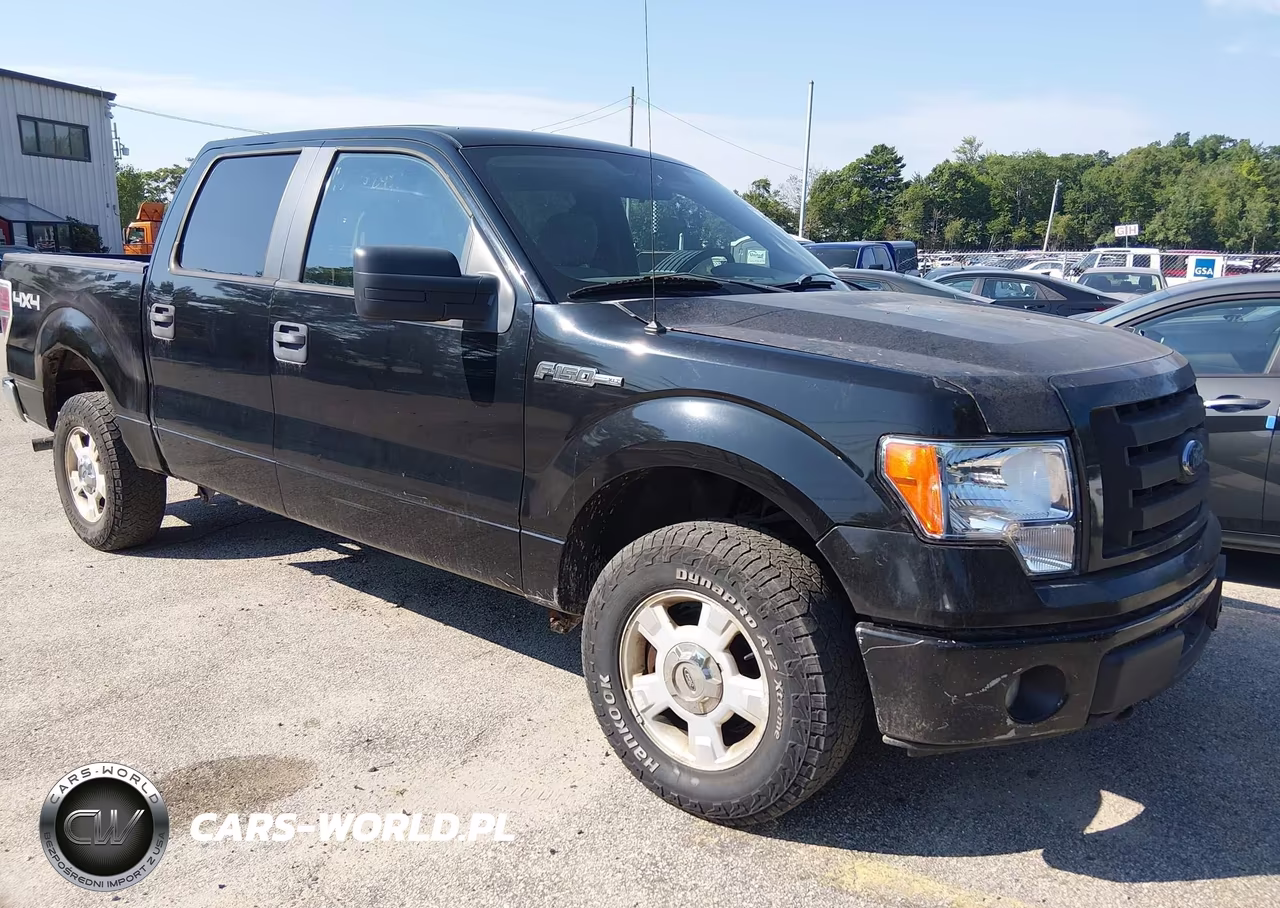 2009 Ford F-150 Xlt