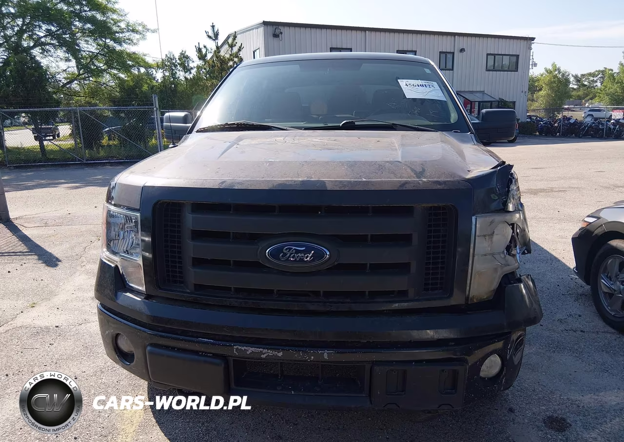 2009 Ford F-150 Xlt VIN:1FTRW14839FA88628 - 12