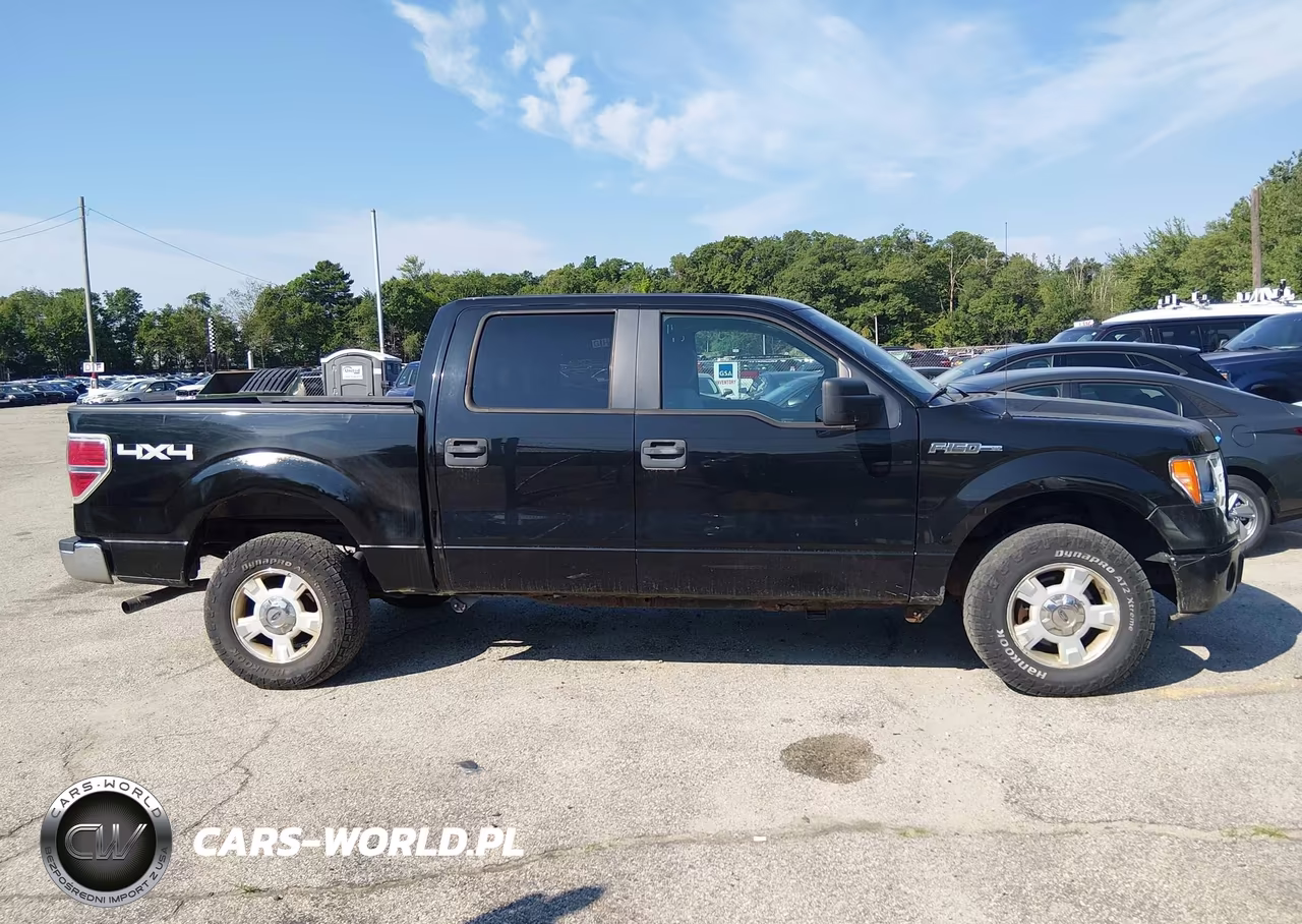 2009 Ford F-150 Xlt VIN:1FTRW14839FA88628 - 13