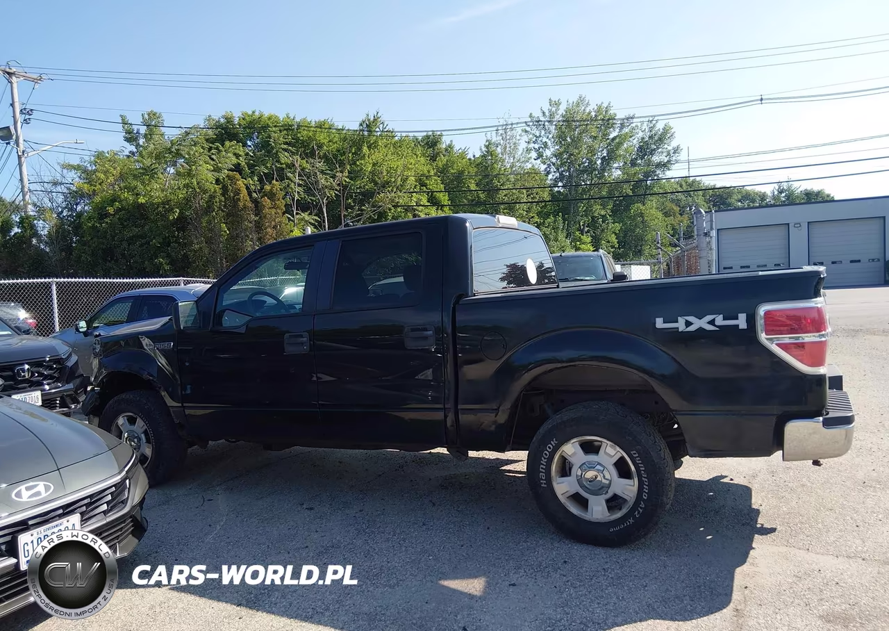 2009 Ford F-150 Xlt VIN:1FTRW14839FA88628 - 14