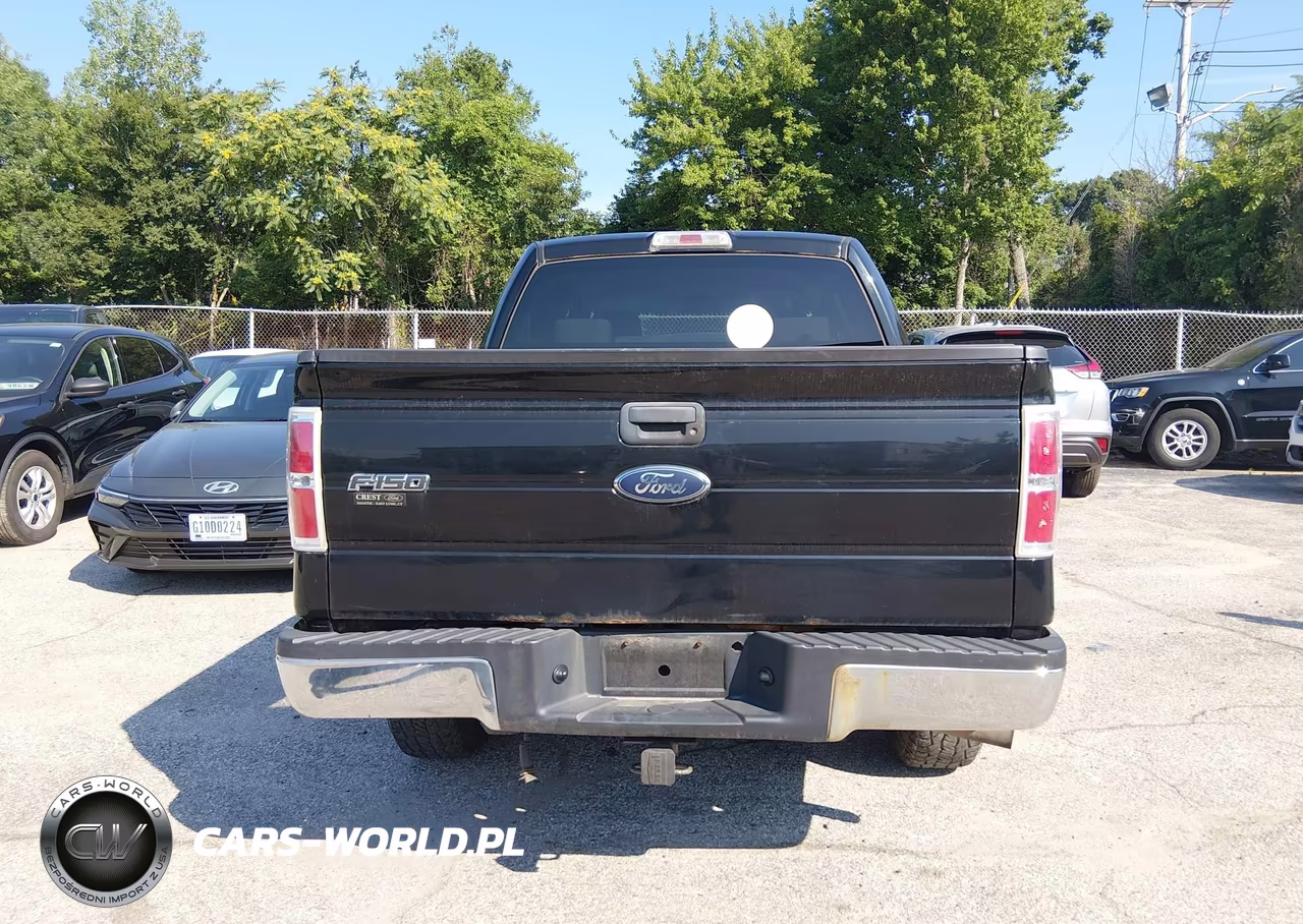 2009 Ford F-150 Xlt VIN:1FTRW14839FA88628 - 16