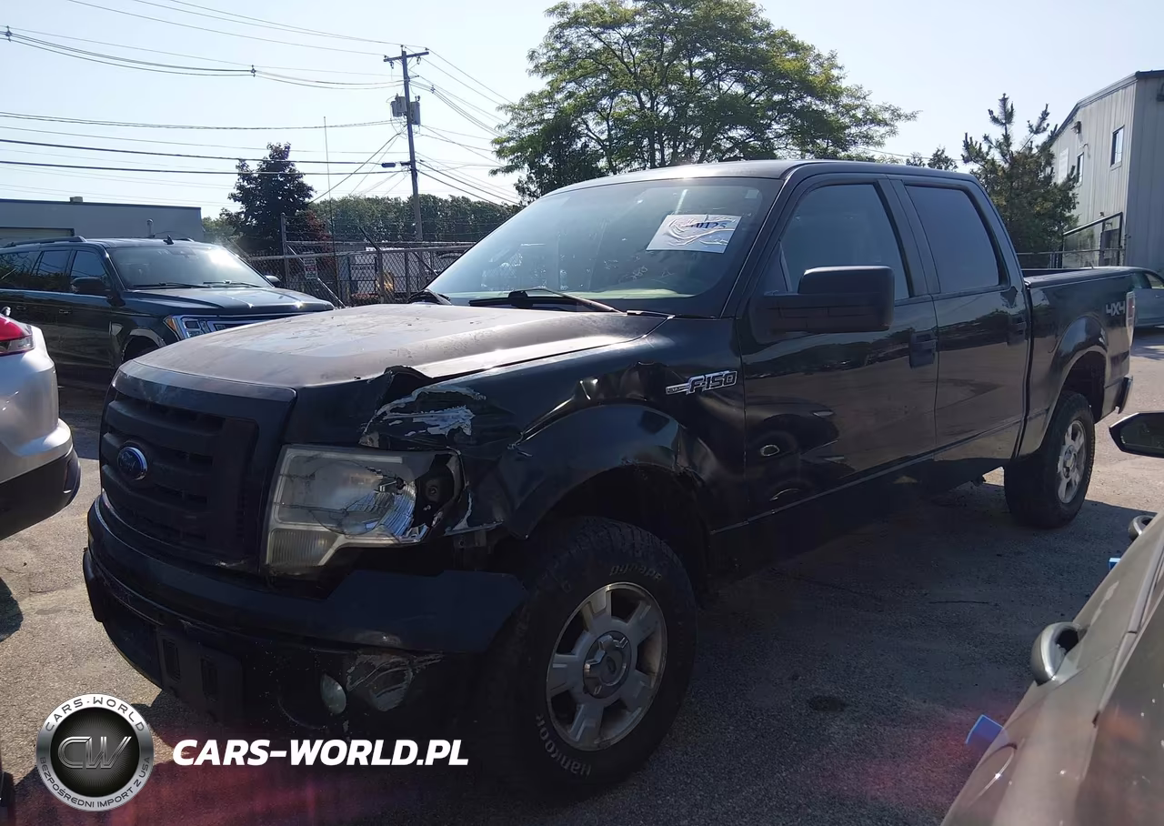 2009 Ford F-150 Xlt VIN:1FTRW14839FA88628 - 2