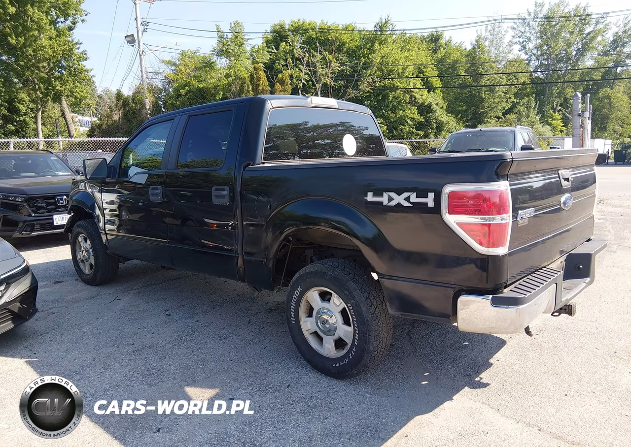 2009 Ford F-150 Xlt VIN:1FTRW14839FA88628 - 3