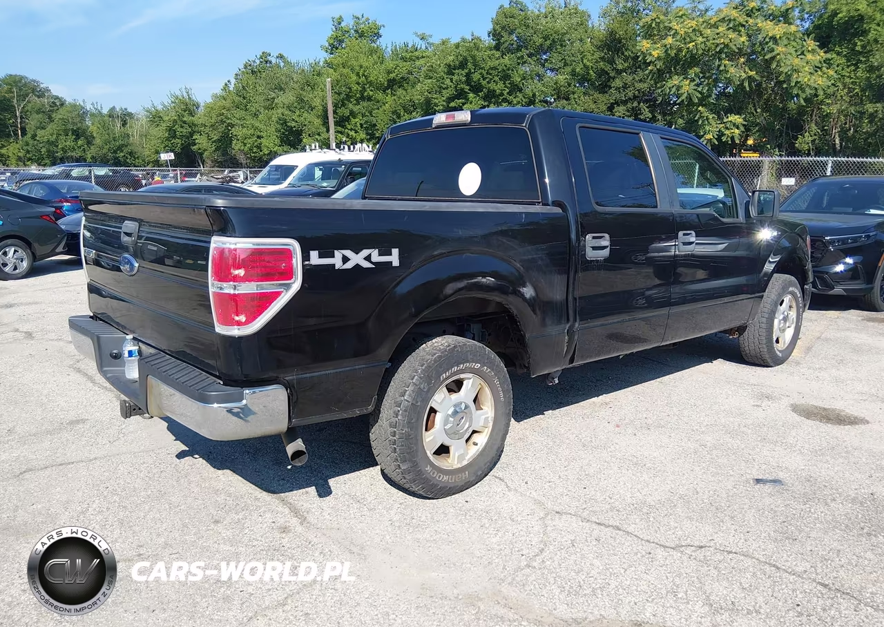 2009 Ford F-150 Xlt VIN:1FTRW14839FA88628 - 4